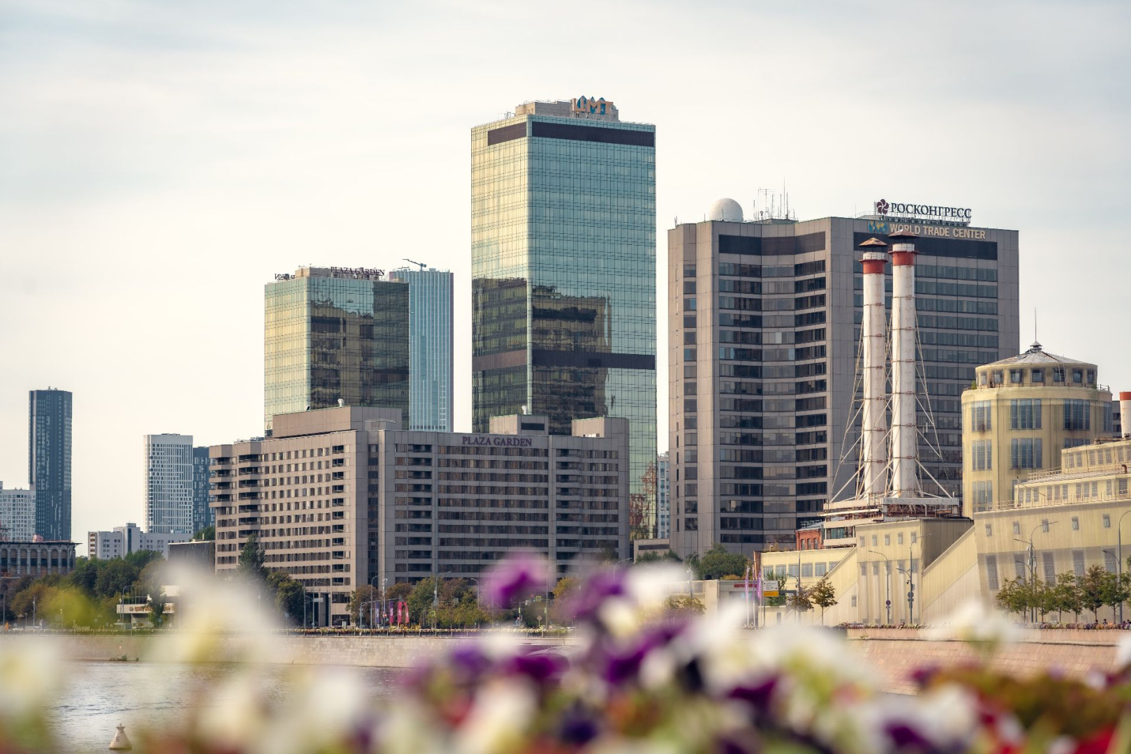 День рождения в Plaza Garden
